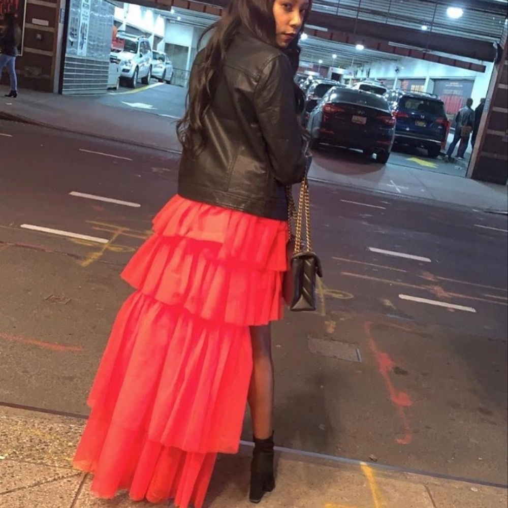 Tulle Skirt- PRICES ARE ALWAYS NEGOTIABLE. 😁 - Picture 3 of 3